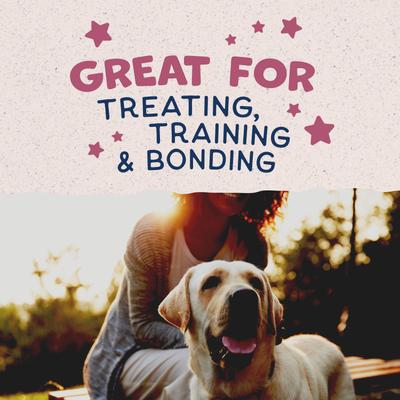 Show full view: Natural Balance Rewards Venison Flavored Crunchy Biscuit Dog Treats, 14-oz bag slide 9 of 11