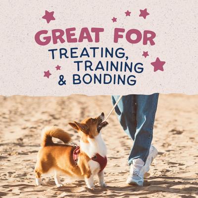 Show full view: Natural Balance Rewards Small Breed Venison Flavored Crunchy Biscuit Dog Treats, 8-oz bag slide 9 of 10