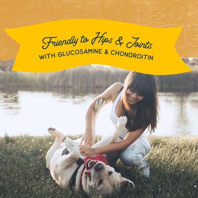 Show full view: Natural Balance Rewards Jumpin' Stix with Real Duck Dog Treats, 4-oz bag slide 8 of 9