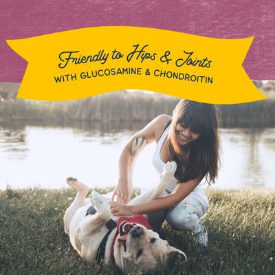 Show full view: Natural Balance Rewards Jumpin' Stix with Real Venison Dog Treats, 10-oz bag slide 8 of 10