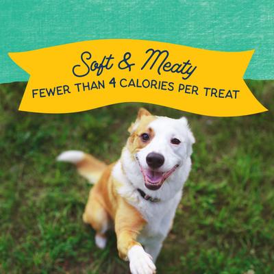 Show full view: Natural Balance Rewards Minis with Real Chicken Dog Treats, 5.3-oz canister slide 5 of 9