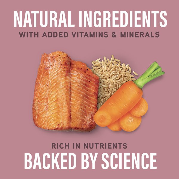 Natural Balance Specialized Nutrition Sensitive Skin & Stomach Formula Adult Salmon & Brown Rice Wet Dog Food