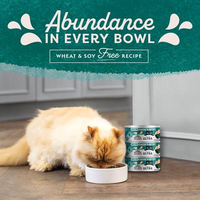 Show full view: Natural Balance Ultra Premium Indoor Chicken Formula Canned Cat Food, 5.5-oz, case of 24 slide 9 of 11