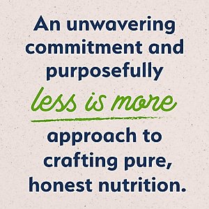 Natural Balance Vegetarian Formula Canned Dog Food, 13-oz, case of 12