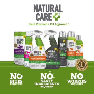 Show full view: Natural Care Flea & Tick Dog Shampoo, 12-fl oz bottle slide 6 of 11