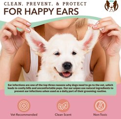 Natural Dog Company Ear Dog Grooming Wipes, 50 count slide 2 of 7