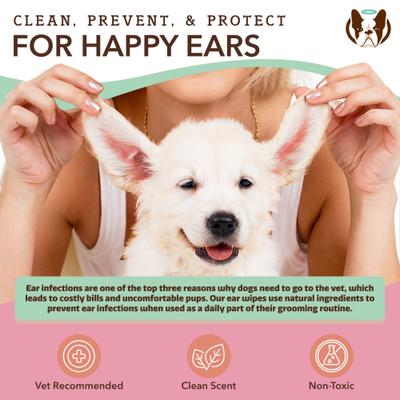 Show full view: Natural Dog Company Ear Dog Grooming Wipes, 50 count slide 5 of 8