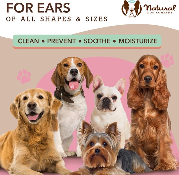 Natural Dog Company Ear Dog Grooming Wipes, 50 count