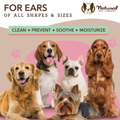 Show full view: Natural Dog Company Ear Dog Grooming Wipes, 50 count slide 6 of 8