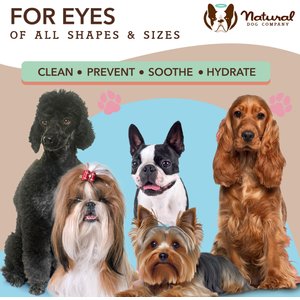 Natural Dog Company Eye Dog Grooming Wipes, 50 count