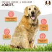 Show in main carousel: Natural Dog Company Glucosamine Hip & Joint Liquid Supplement for Dogs, 16-fl oz bottle slide 3 of 10