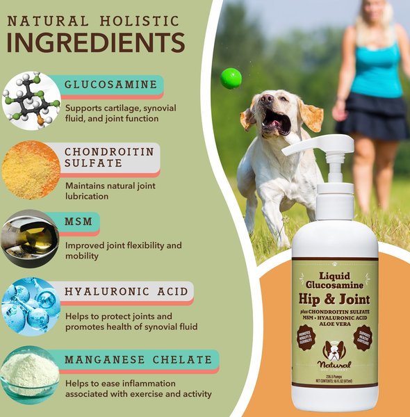 Show full view: Natural Dog Company Glucosamine Hip & Joint Liquid Supplement for Dogs, 16-fl oz bottle slide 2 of 10