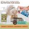Show in main carousel: Natural Dog Company Glucosamine Hip & Joint Liquid Supplement for Dogs, 16-fl oz bottle slide 7 of 11