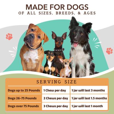 Show full view: Natural Dog Company Hip & Joint Chicken & Liver Flavored Soft Chew Supplement with Glucosamine & Chondroitin for Dogs, 90 count slide 9 of 11