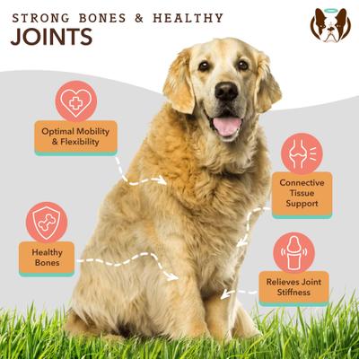 Show full view: Natural Dog Company Hip & Joint Chicken & Liver Flavored Soft Chew Supplement with Glucosamine & Chondroitin for Dogs, 90 count slide 5 of 11