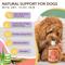 Show in main carousel: Natural Dog Company Itchy Dog Shampoo, 12-fl oz bottle slide 4 of 10
