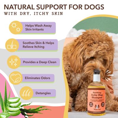 Show full view: Natural Dog Company Itchy Dog Shampoo, 12-fl oz bottle slide 4 of 10