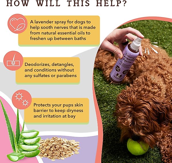 Show full view: Natural Dog Company Lavender Spritz Dog Deodorizing Spray, 8-fl oz bottle slide 2 of 6