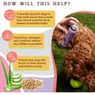 Show in main carousel: Natural Dog Company Lavender Spritz Dog Deodorizing Spray, 8-fl oz bottle slide 2 of 6