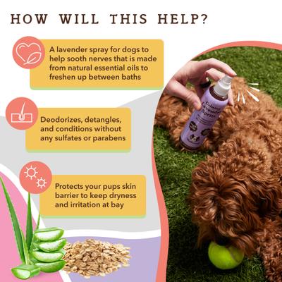 Show full view: Natural Dog Company Lavender Spritz Dog Deodorizing Spray, 8-fl oz bottle slide 2 of 6