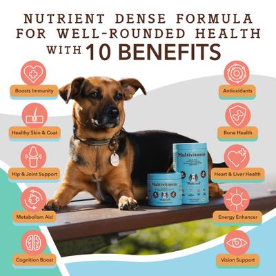 Show full view: Natural Dog Company Multivitamin Peanut Butter & Bacon Flavored Soft Chew Supplement for Dogs, 180 count slide 4 of 10