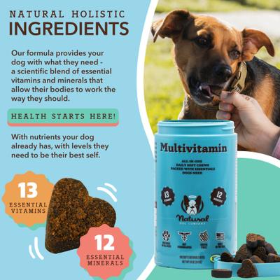 Show full view: Natural Dog Company Multivitamin Peanut Butter & Bacon Flavored Soft Chew Supplement for Dogs, 180 count slide 3 of 10