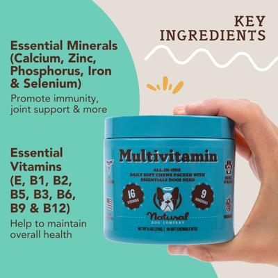 Show full view: Natural Dog Company Multivitamin Peanut Butter & Bacon Flavored Soft Chew Supplement for Dogs, 90 count slide 3 of 11