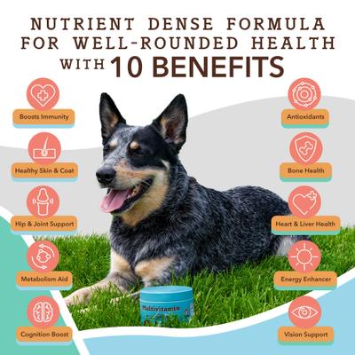 Show full view: Natural Dog Company Multivitamin Peanut Butter & Bacon Flavored Soft Chew Supplement for Dogs, 90 count slide 4 of 11
