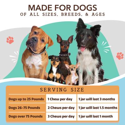 Show full view: Natural Dog Company Multivitamin Peanut Butter & Bacon Flavored Soft Chew Supplement for Dogs, 90 count slide 9 of 11