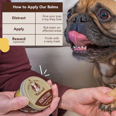 Show full view: Natural Dog Company PawTection Dog Paw Protector Balm, 2-oz tin slide 3 of 9