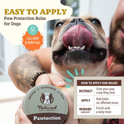 Show full view: Natural Dog Company PawTection Dog Paw Protector Balm, 4-oz tin slide 4 of 10