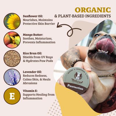 Show full view: Natural Dog Company PawTection Dog Paw Protector Balm, 4-oz tin slide 3 of 10
