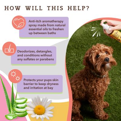 Show full view: Natural Dog Company Sensitive Skin Spritz Dog Deodorizing Spray, 8-fl oz bottle slide 2 of 6