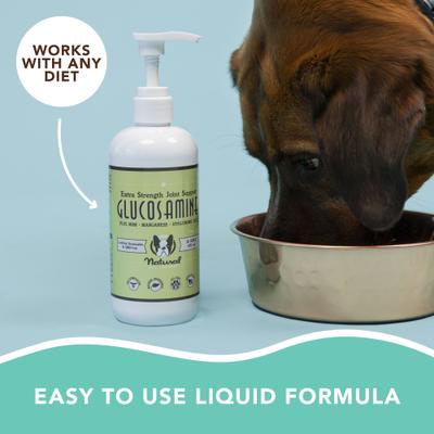 Show full view: Natural Dog Company Skin & Coat Omega-3 & Omega-6 Oil Dog Supplement, 16-fl oz bottle + Extra Strength Joint Support Liquid Glucosamine, 16-fl oz bottle slide 4 of 9