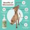 Show in main carousel: Natural Dog Company Skin & Coat Omega-3 & Omega-6 Oil Dog Supplement, 16-fl oz bottle + Extra Strength Joint Support Liquid Glucosamine, 16-fl oz bottle slide 5 of 9