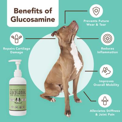 Show full view: Natural Dog Company Skin & Coat Omega-3 & Omega-6 Oil Dog Supplement, 16-fl oz bottle + Extra Strength Joint Support Liquid Glucosamine, 16-fl oz bottle slide 5 of 9
