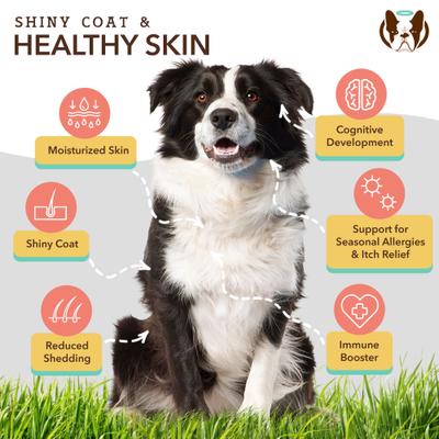Show full view: Natural Dog Company Skin & Coat Omega-3 & Omega-6 Oil Dog Supplement, 16-fl oz bottle slide 4 of 10