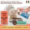 Show in main carousel: Natural Dog Company Skin & Coat Omega-3 Salmon & Pea Flavored Soft Chew Supplement for Dogs, 180 count slide 6 of 10