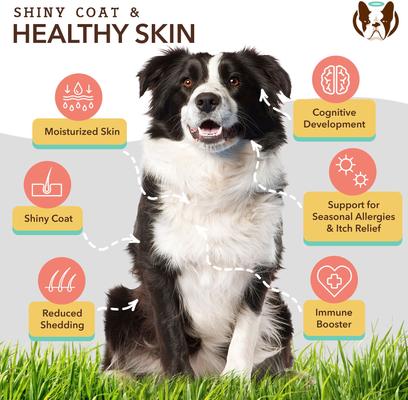 Show full view: Natural Dog Company Skin & Coat Omega-3 Salmon & Pea Flavored Soft Chew Supplement for Dogs, 180 count slide 4 of 10
