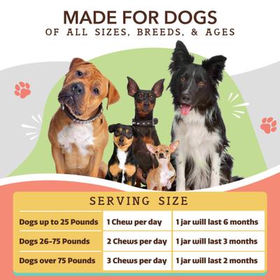 Show full view: Natural Dog Company Skin & Coat Omega-3 Salmon & Pea Flavored Soft Chew Supplement for Dogs, 90 count slide 10 of 11