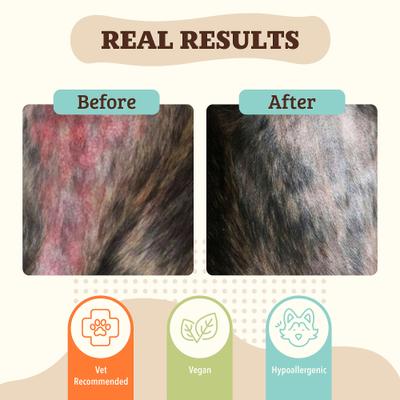 Show full view: Natural Dog Company Skin Soother Dog Healing Balm, 2-oz stick slide 6 of 9