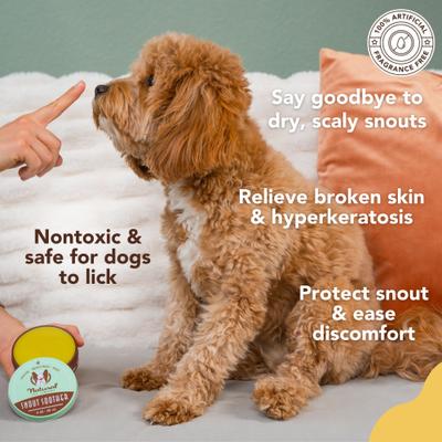 Show full view: Natural Dog Company Snout Soother Dog Healing Balm, 1-fl oz tin slide 3 of 10