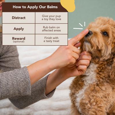 Show full view: Natural Dog Company Snout Soother Dog Healing Balm, 1-fl oz tin slide 4 of 10