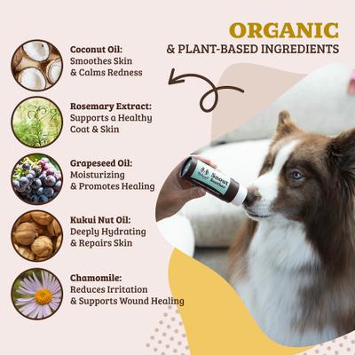 Show full view: Natural Dog Company Snout Soother Dog Healing Balm, 2-fl oz stick slide 2 of 8