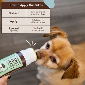 Natural Dog Company Snout Soother Dog Healing Balm, 2-fl oz stick