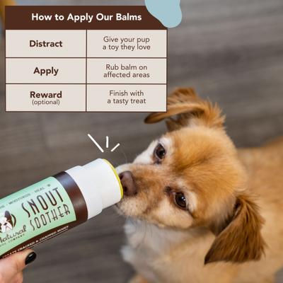 Show full view: Natural Dog Company Snout Soother Dog Healing Balm, 2-fl oz stick slide 3 of 8