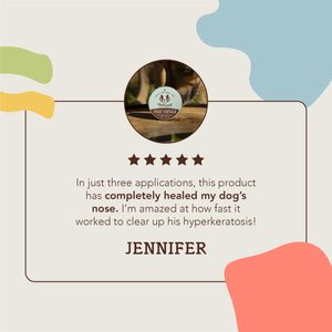 Natural Dog Company Snout Soother Dog Healing Balm, 2-fl oz tin