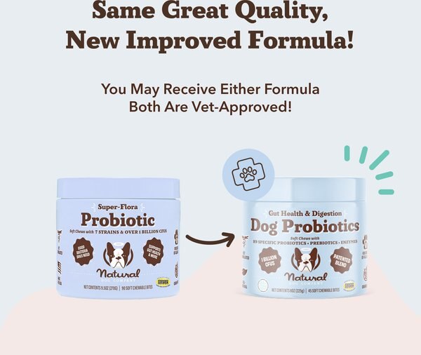 Natural Dog Company Super-Flora Probiotic Chews Dog Supplement