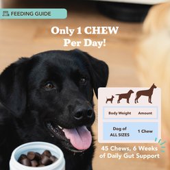 Natural Dog Company Super-Flora Probiotic Chews Dog Supplement, 45 count slide 2 of 8