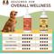 Show in main carousel: Natural Dog Company Ultra Omega Oil Supplement for Dogs, 16-fl oz bottle, case of 2 slide 4 of 11